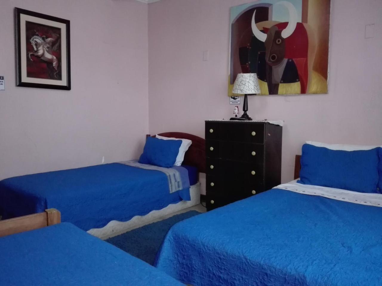 Hotel De Talca Talca  Extérieur photo